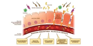 mucosa intestinale 1024x512 1